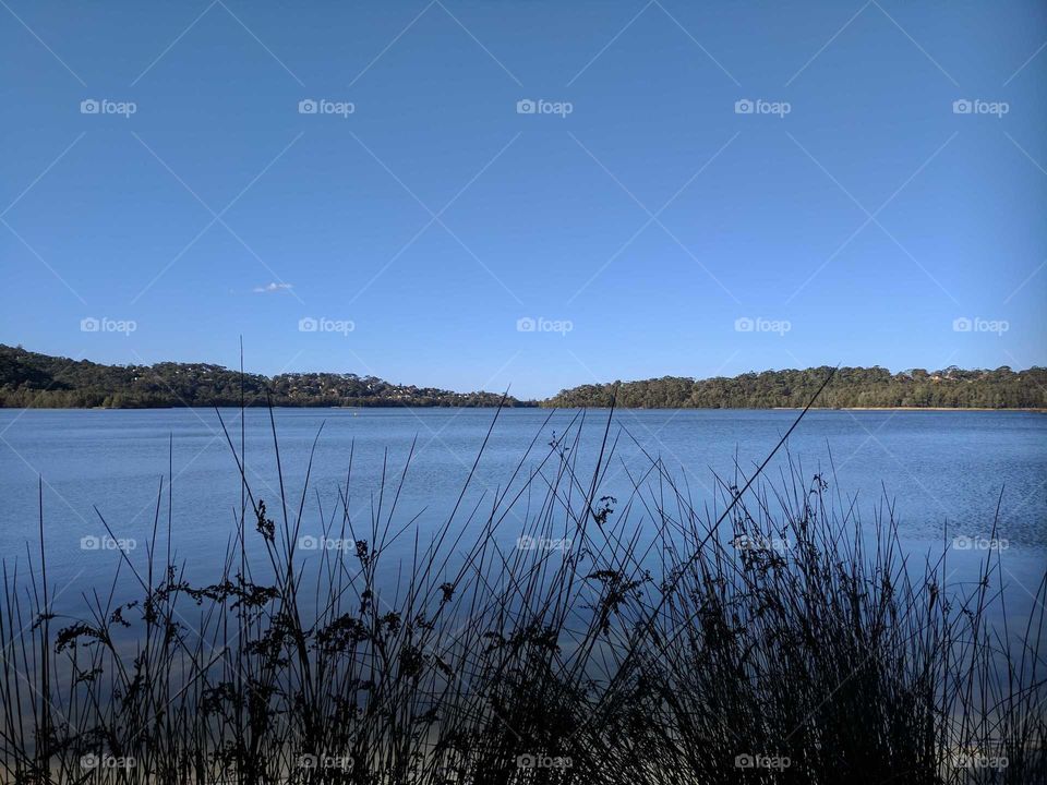 Tranquil setting by the lake