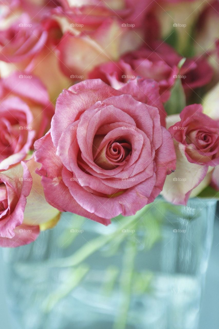 Pink Rose Bouquet