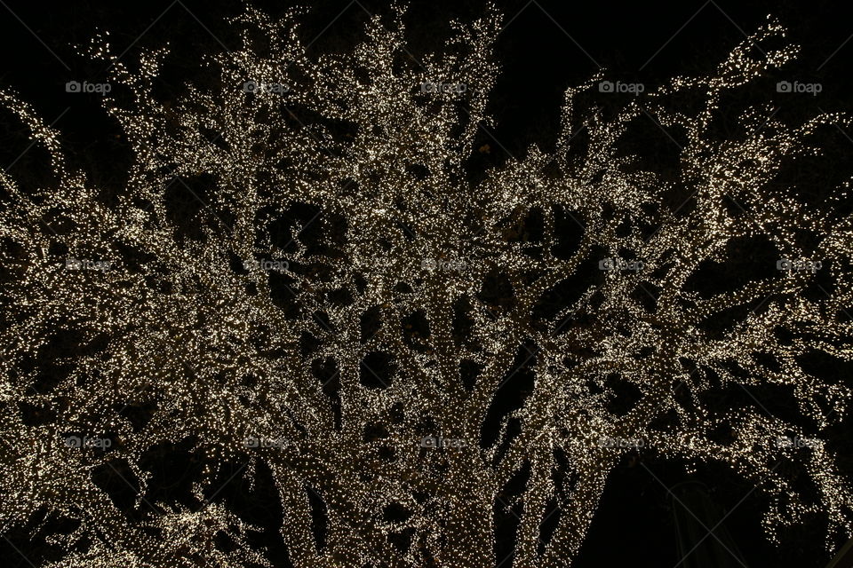 Christmas time - tree illuminated