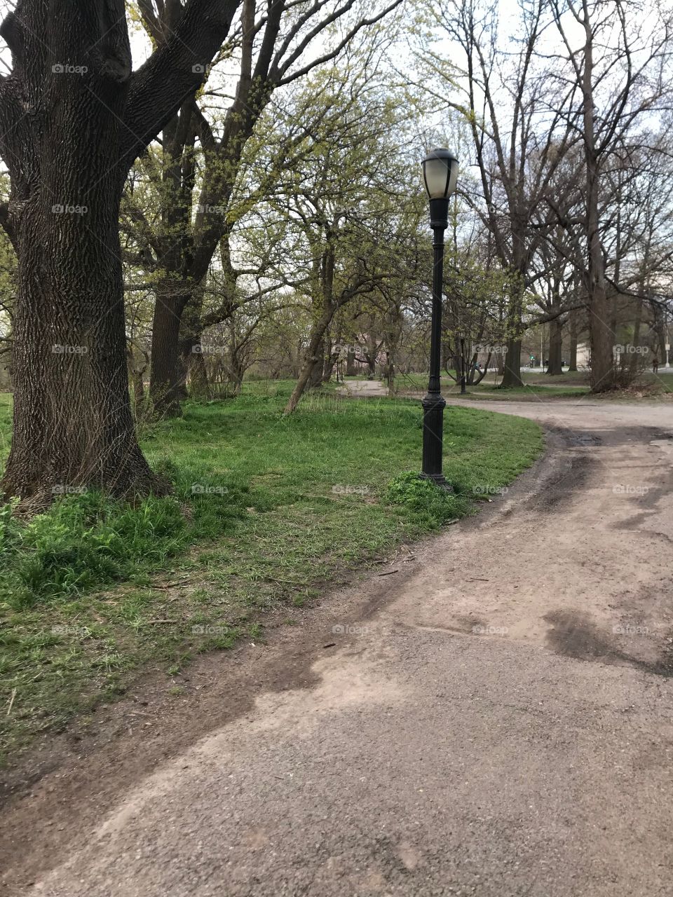 Narrow path in park