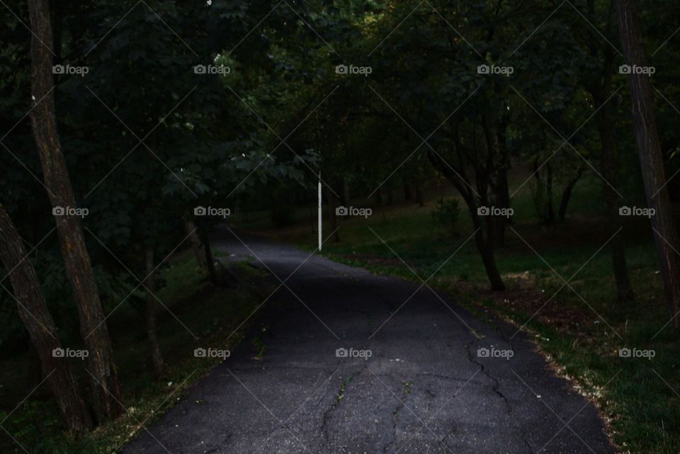 Some paths we don't know where they might take us in life,as misterious as this one.