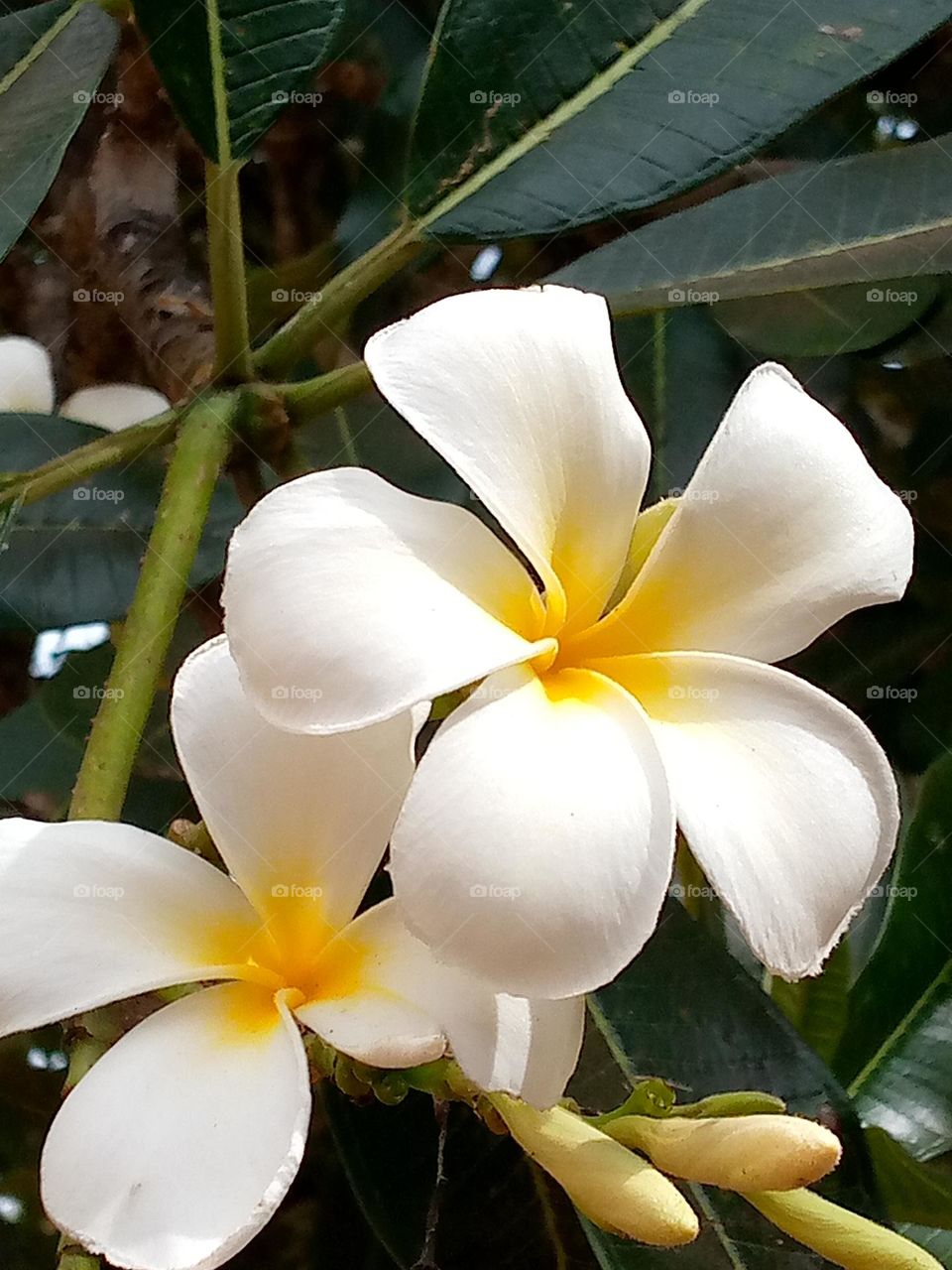 I love you, You are one in a million