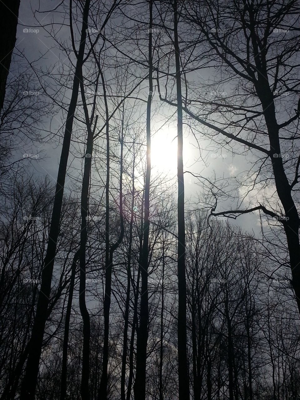 beautiful view. beautiful sky view