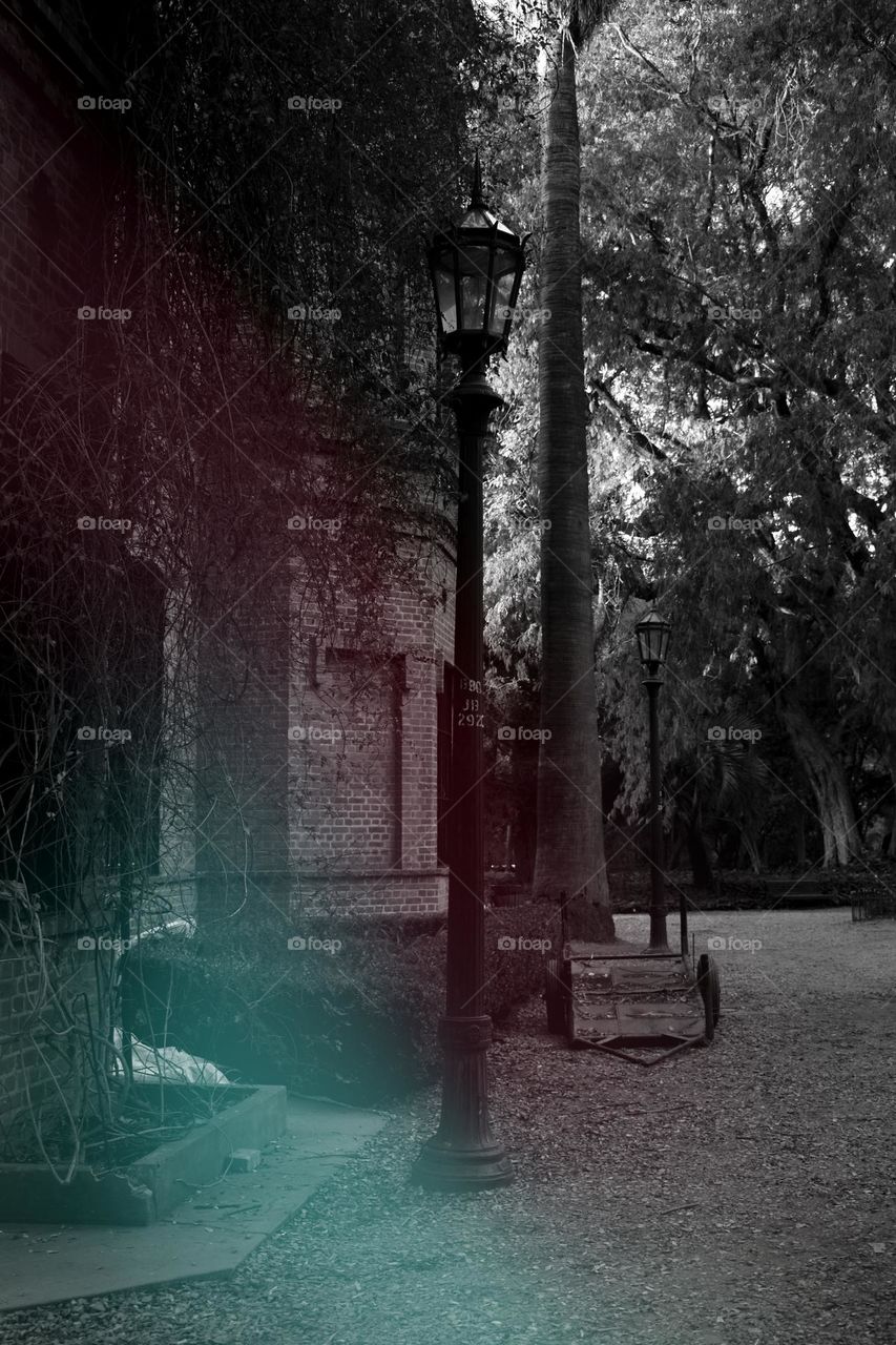 Jardín Botánico ,  Foto tomada con Nikon D3500