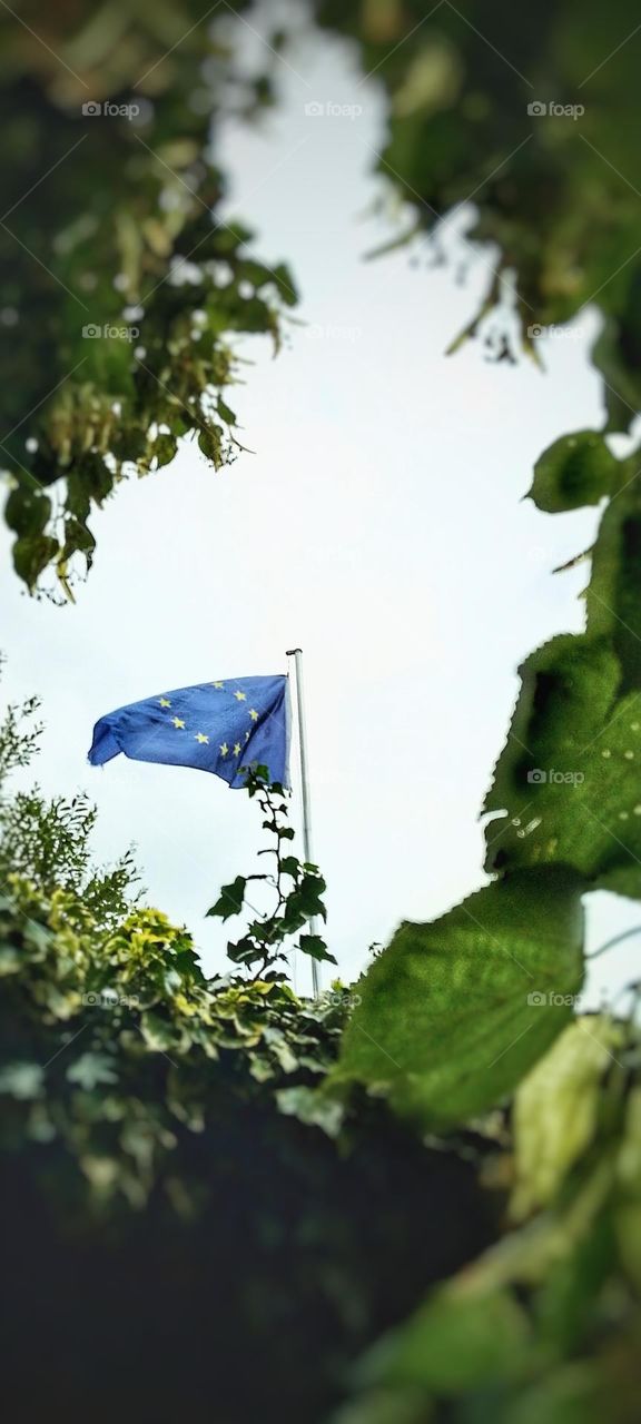 flag, UE
