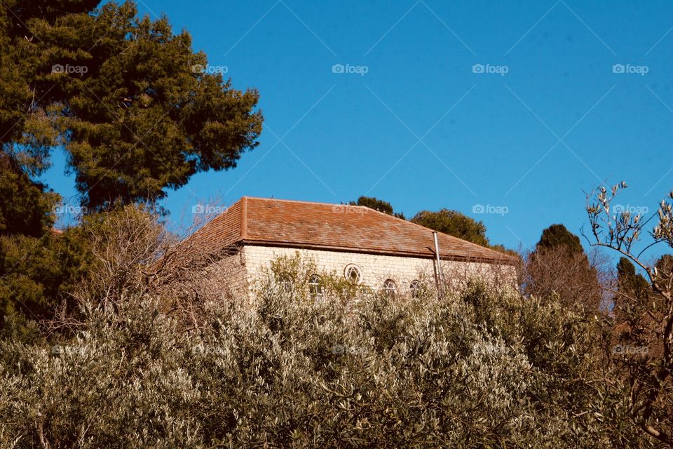 House in the Galilee ,red roof against a blue sky with trees standing on the hill.