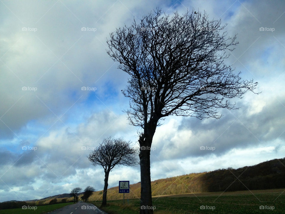 sweden clouds trees trip by cabday