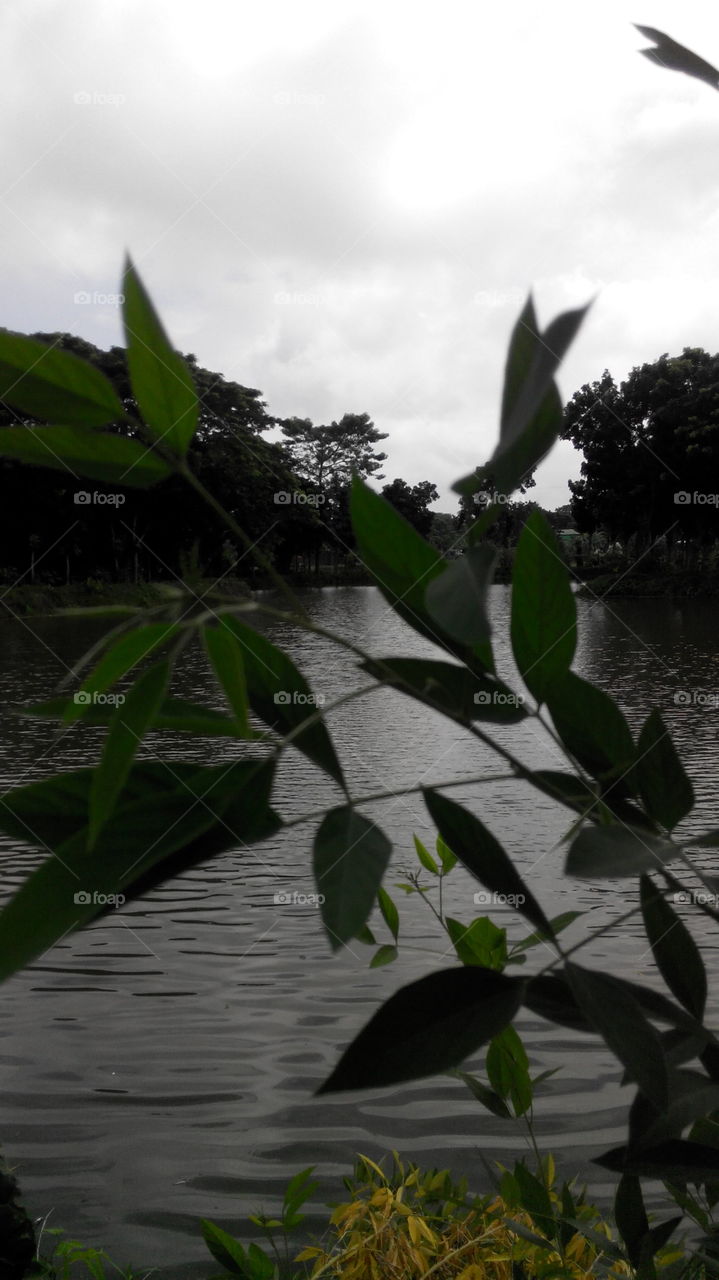 A rainy day evening.