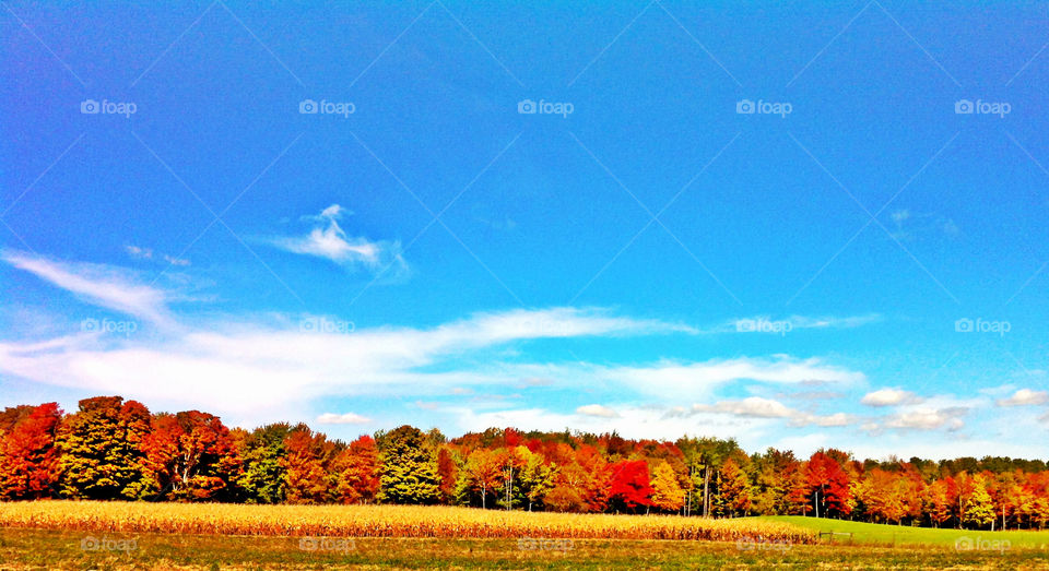 sky field blue red by serenitykennedy
