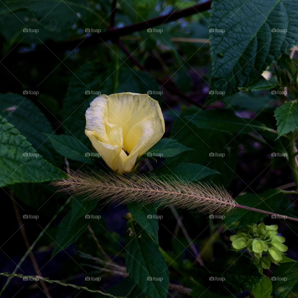 Arrival of spring! Beautiful 