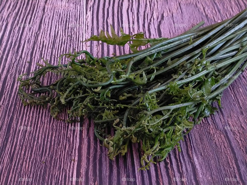 Fern vegetable on the table
