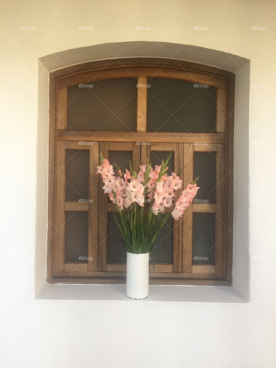 Pink flowers in the window