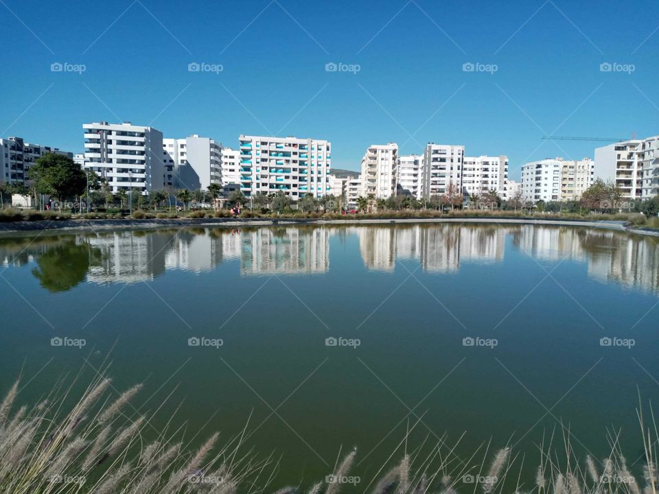 Population between the nature