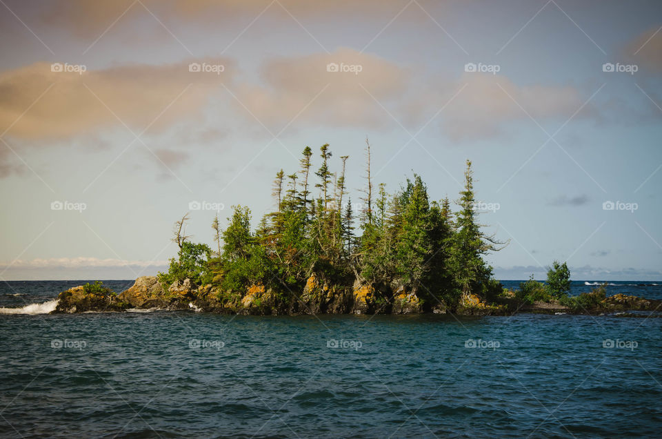 Scenic view of sea with green trees