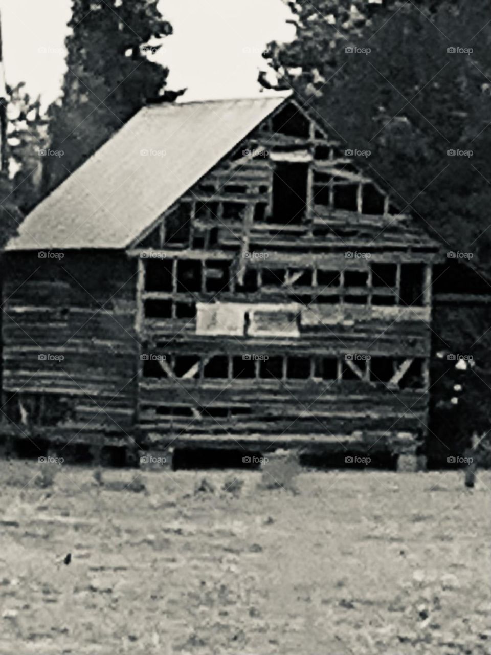 B&w barn