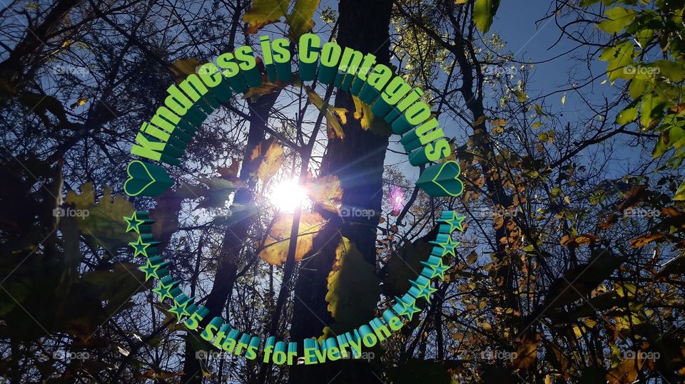 Kindness is Contagious 5 Stars for Everyone