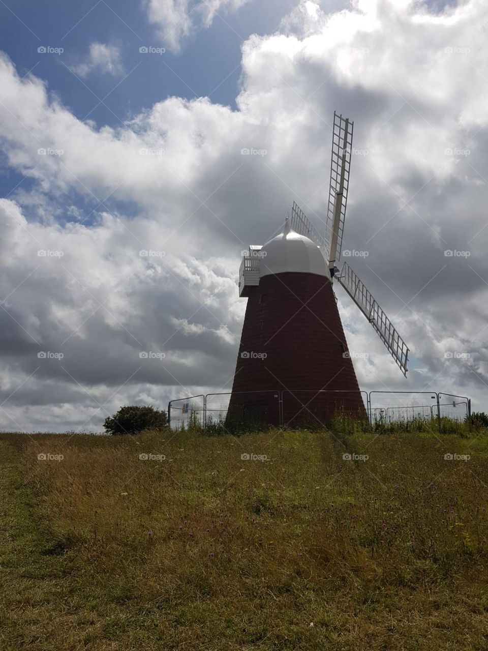 View of windmill looking up wild flower hill