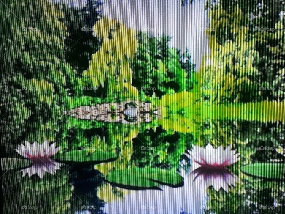 paisagem  lago com verde no fundo