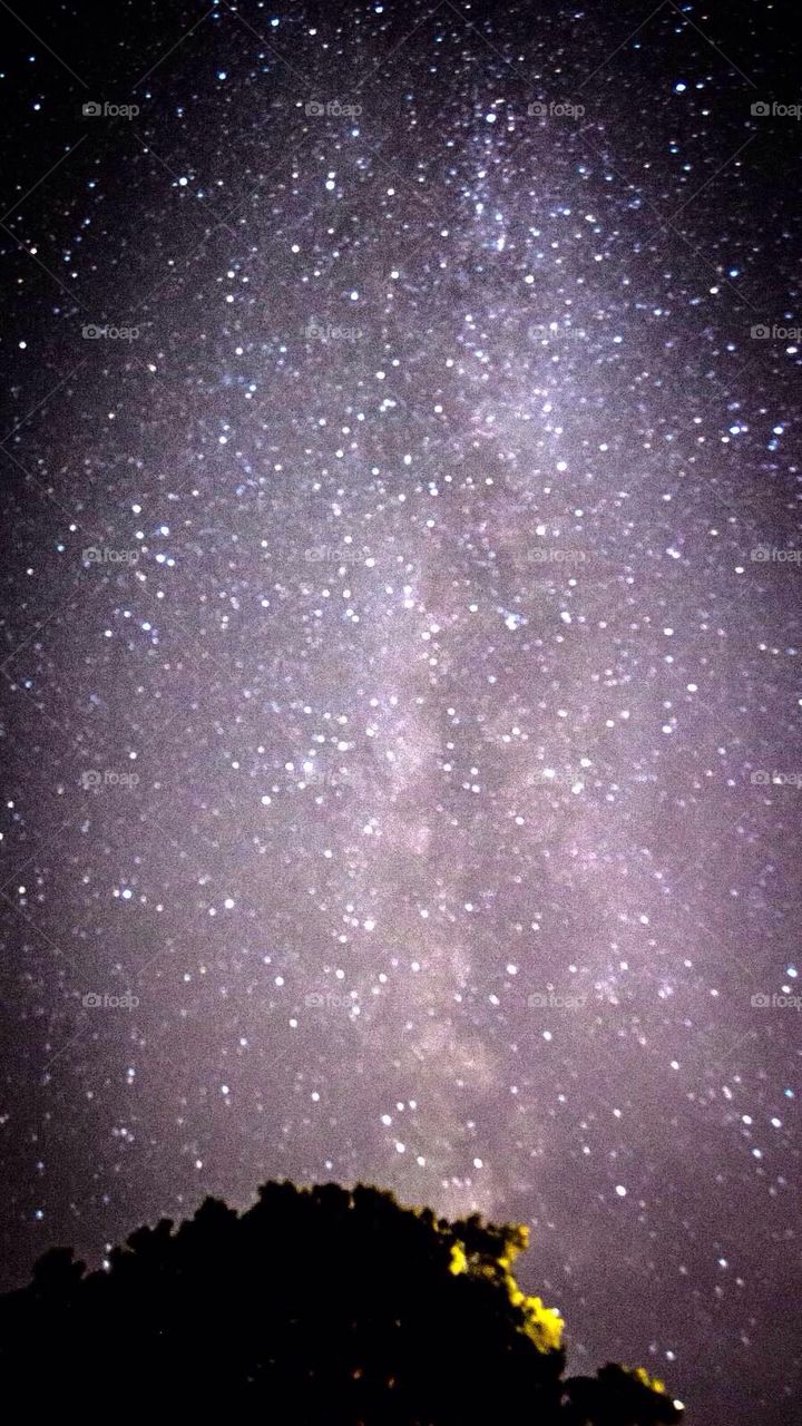 Milky Way over Cape Cod