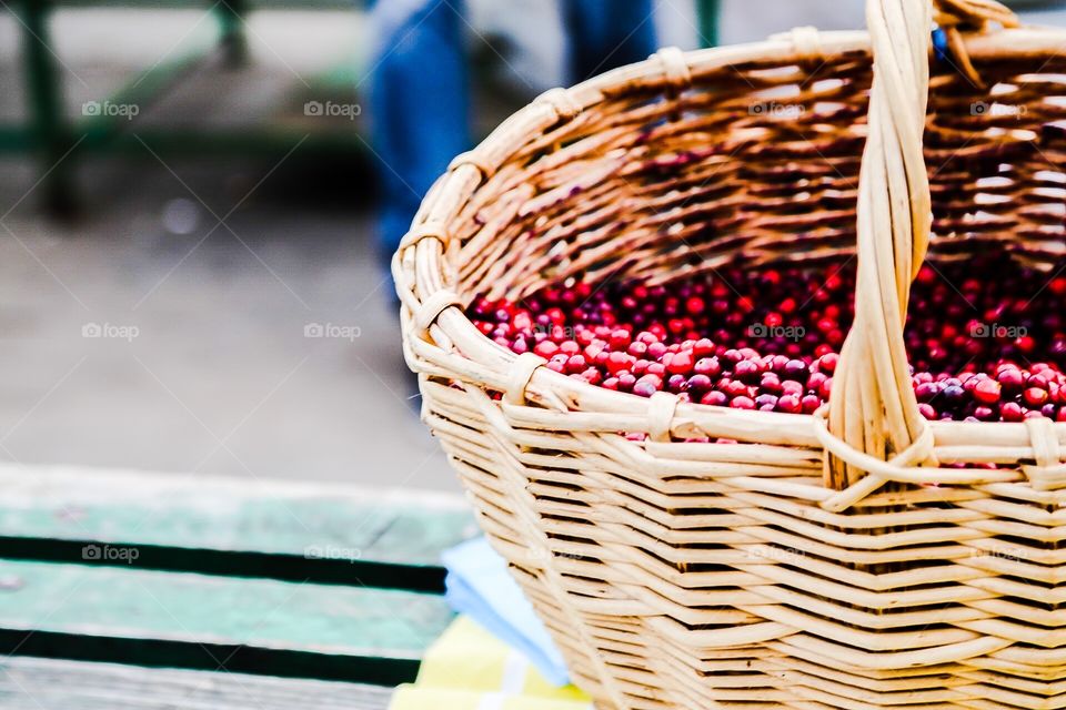 Lingonberries in a basket 