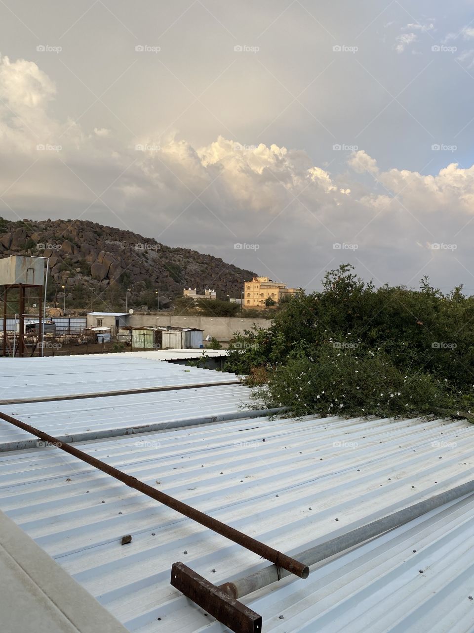 Amazing farm in city albah,the view from a window fantastic morning