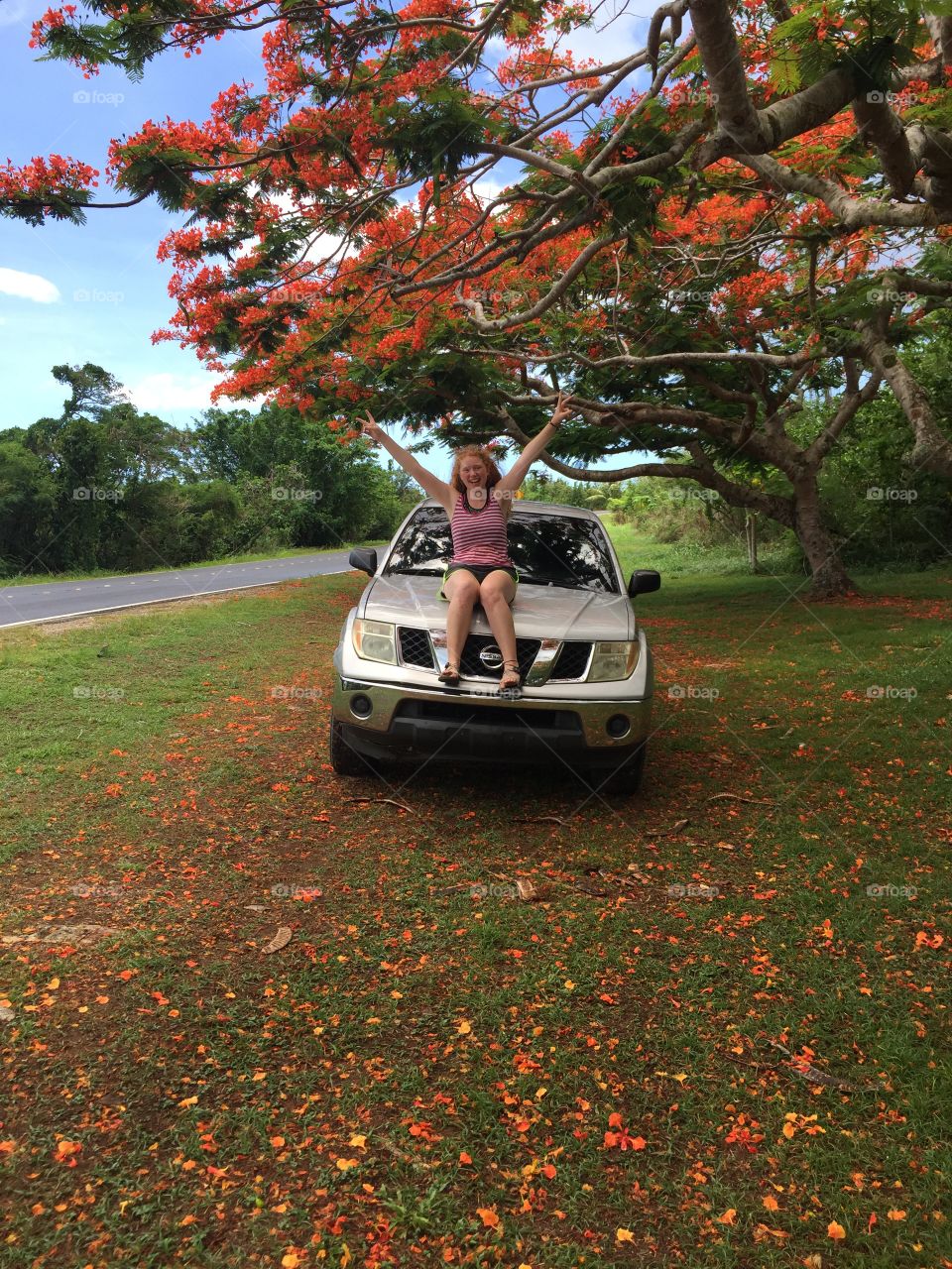 Girl sitting on the hood of an old work truck under flame trees lining the road on Saipan CNMI
