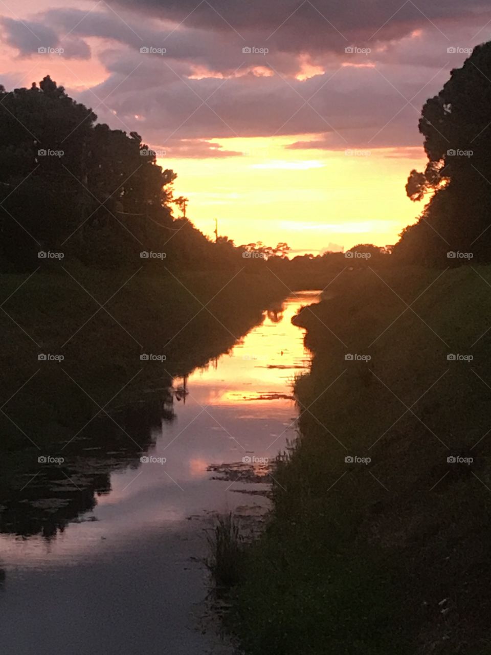 Orange sunset  on a canal  with trees on each side