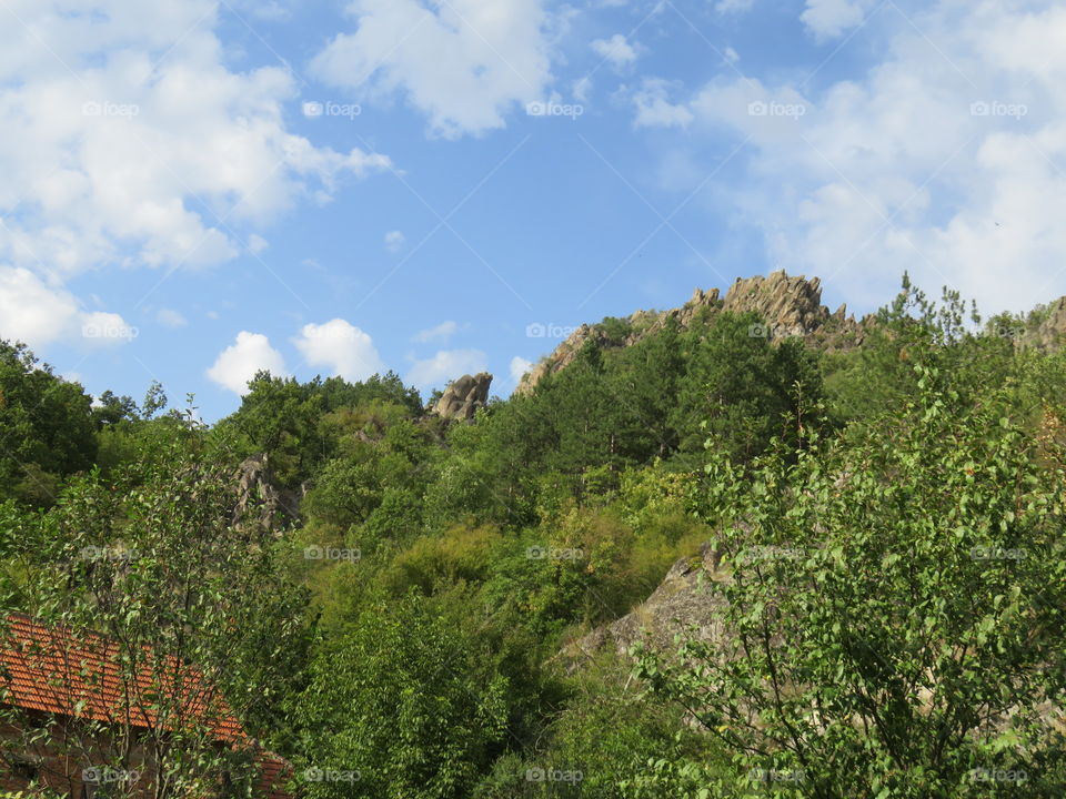 Sunny petak of the mountain wild beauty