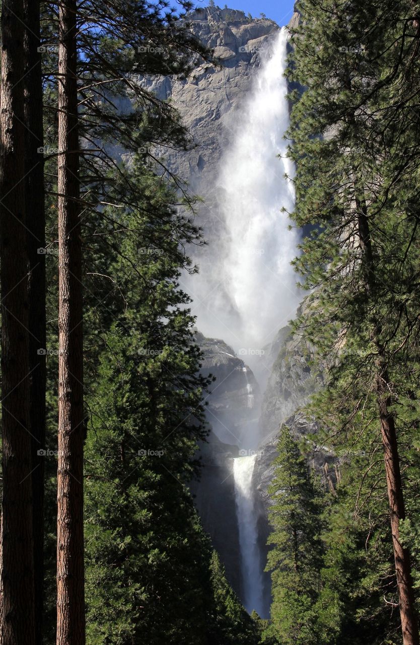 Yosemite falls