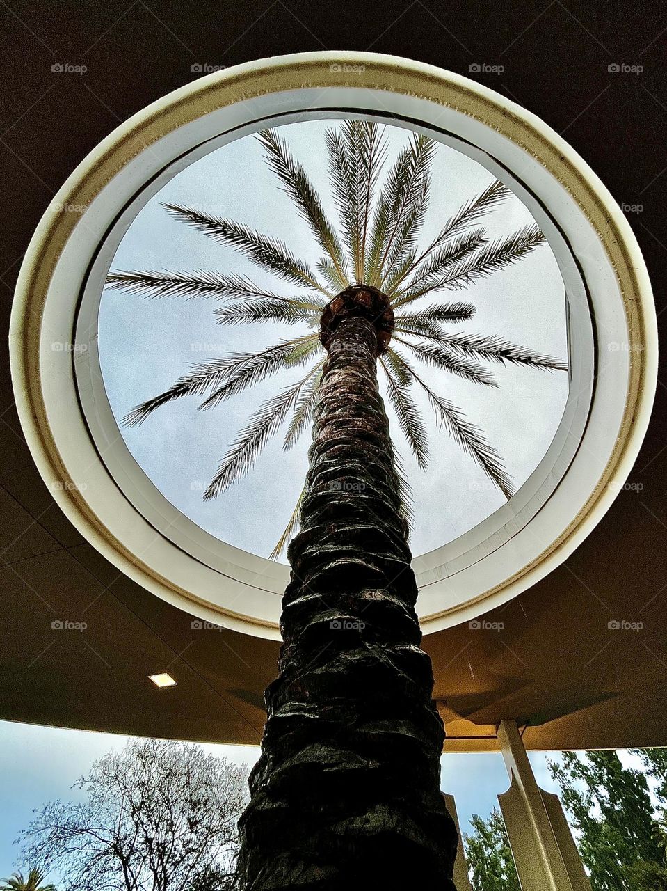 Ceiling Circle Cut Out