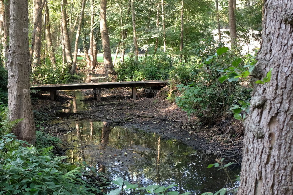 In Middelheim park in Antwerp