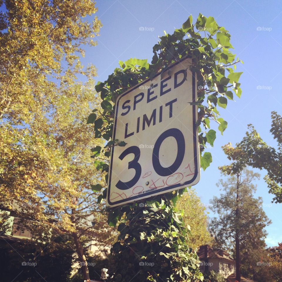 Residential. A vintage sign covered in vines housing a local speed limit.