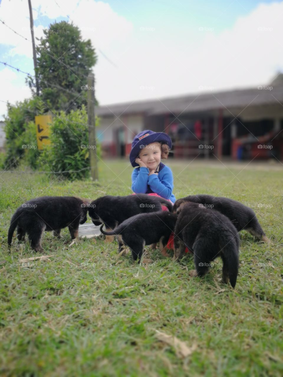 Cute baby girl with puppys