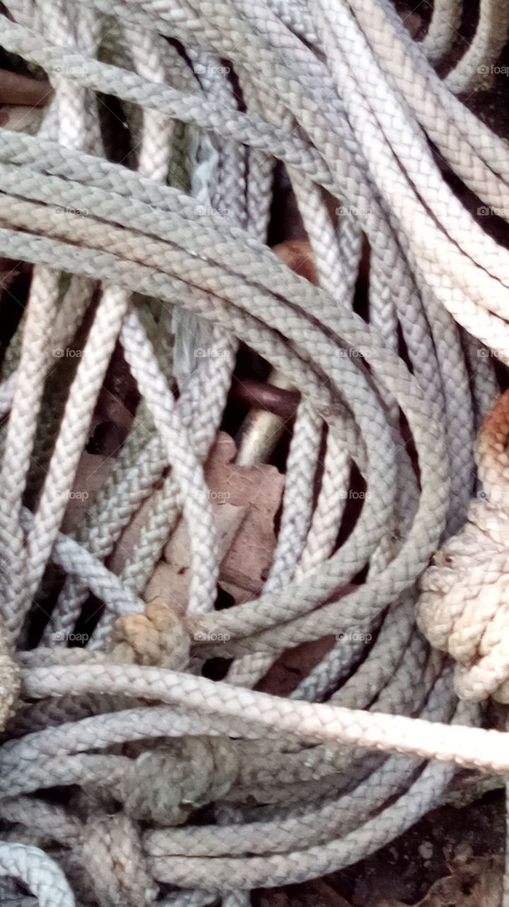Just a rope I found in the garden. Probably the only thing out there that wasn't green.