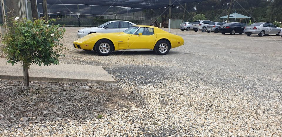 Nice car yellow colour