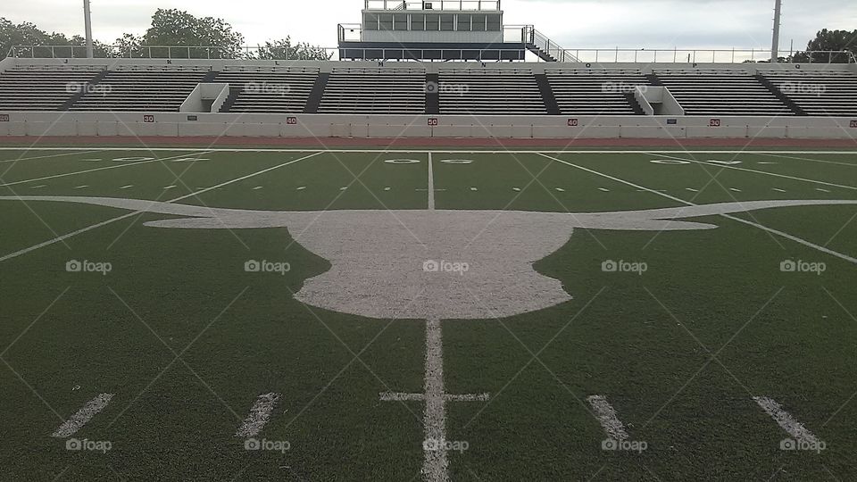 hookem' horns. i was standing on the fifty yard line