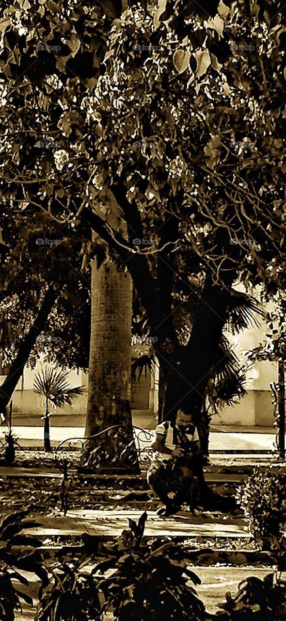 plaza in the afternoon