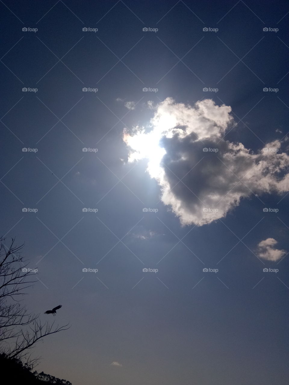 All together #Dark cloud ☁  #Sunlight ☀  #Bird. The beautiful day.