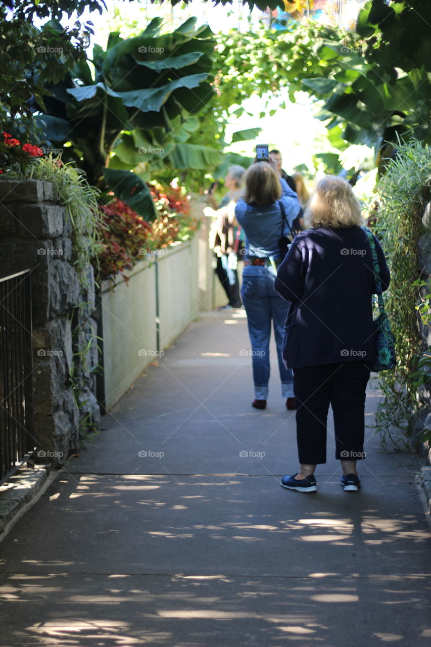 Atlanta urban park where people are walking on trail way leading to beautiful botanical garden exhibits and park area 