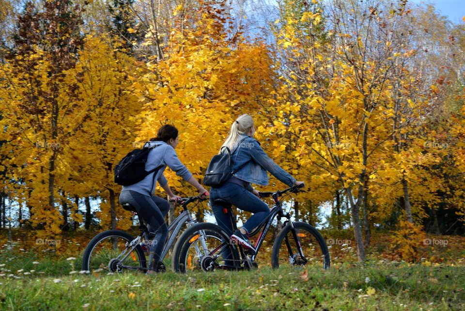 people riding on a bikes autumn beautiful time, lifestyle active