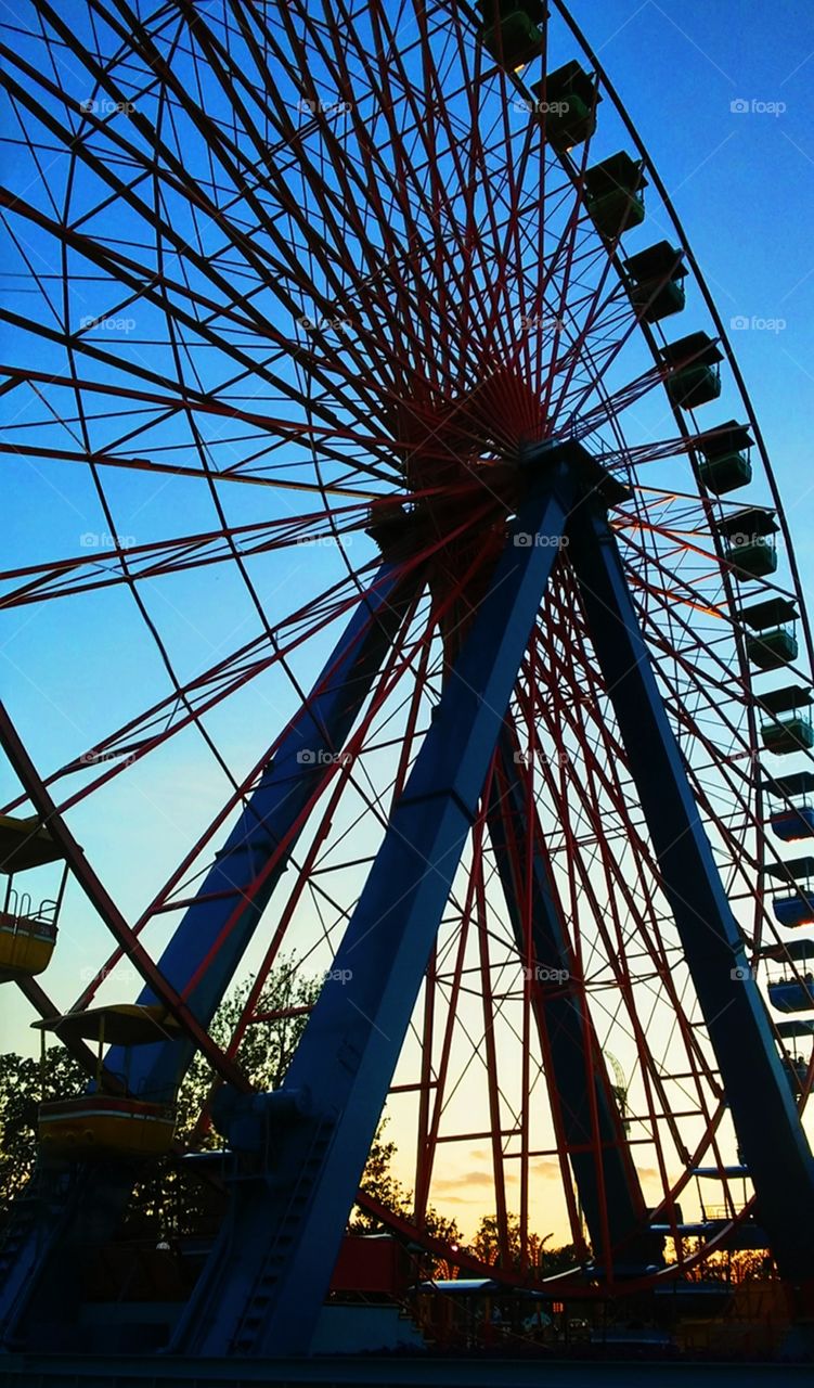 cedar point ferris wheel in the evening