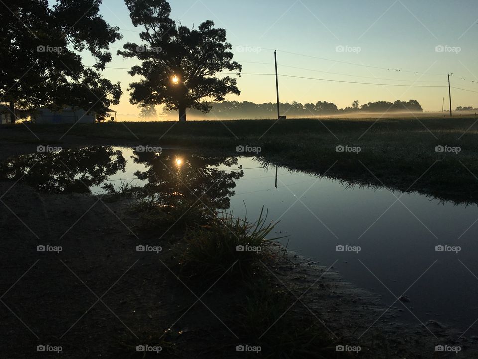 Sunrise over a puddle