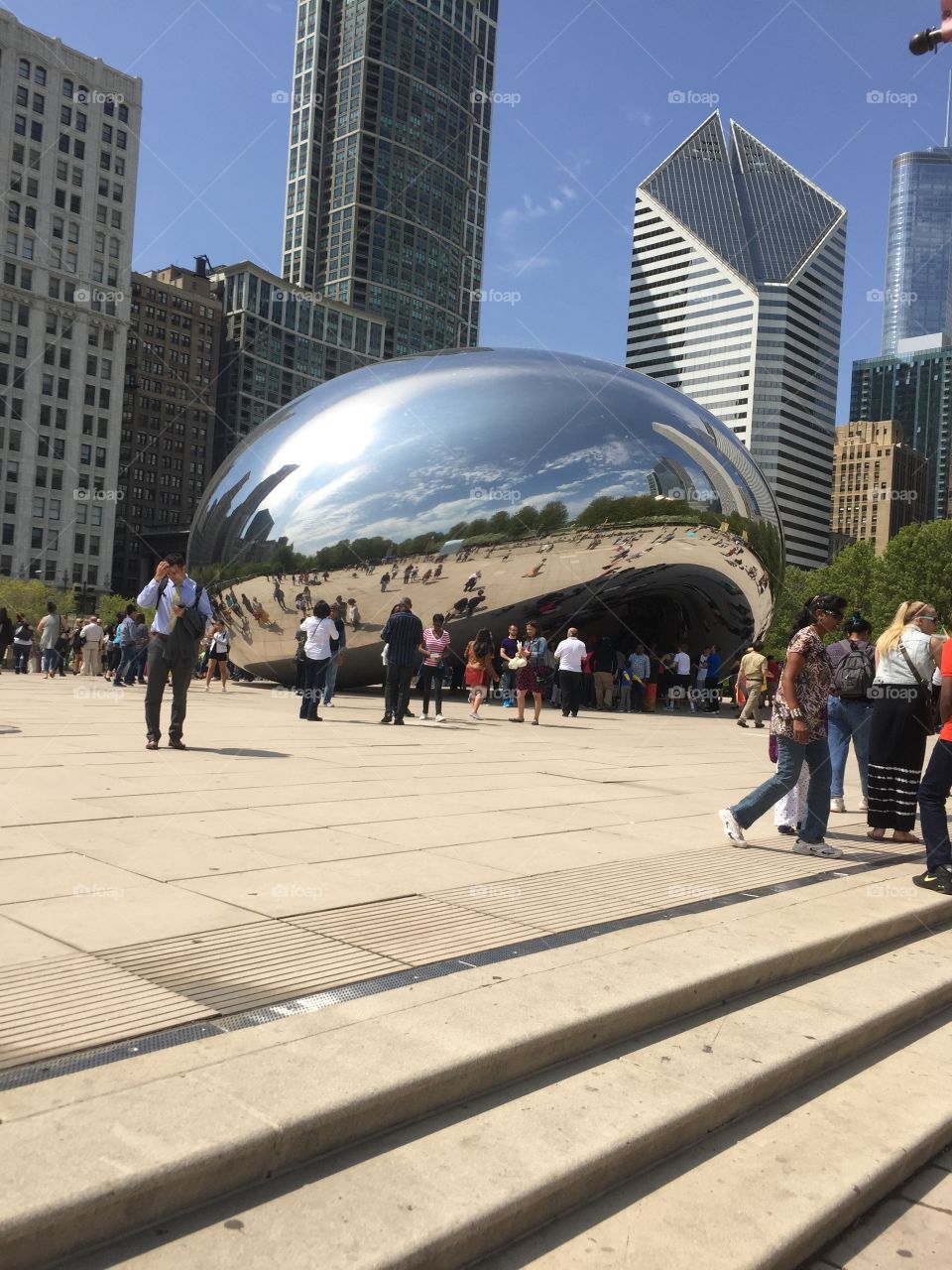 This the bean from Chicago!