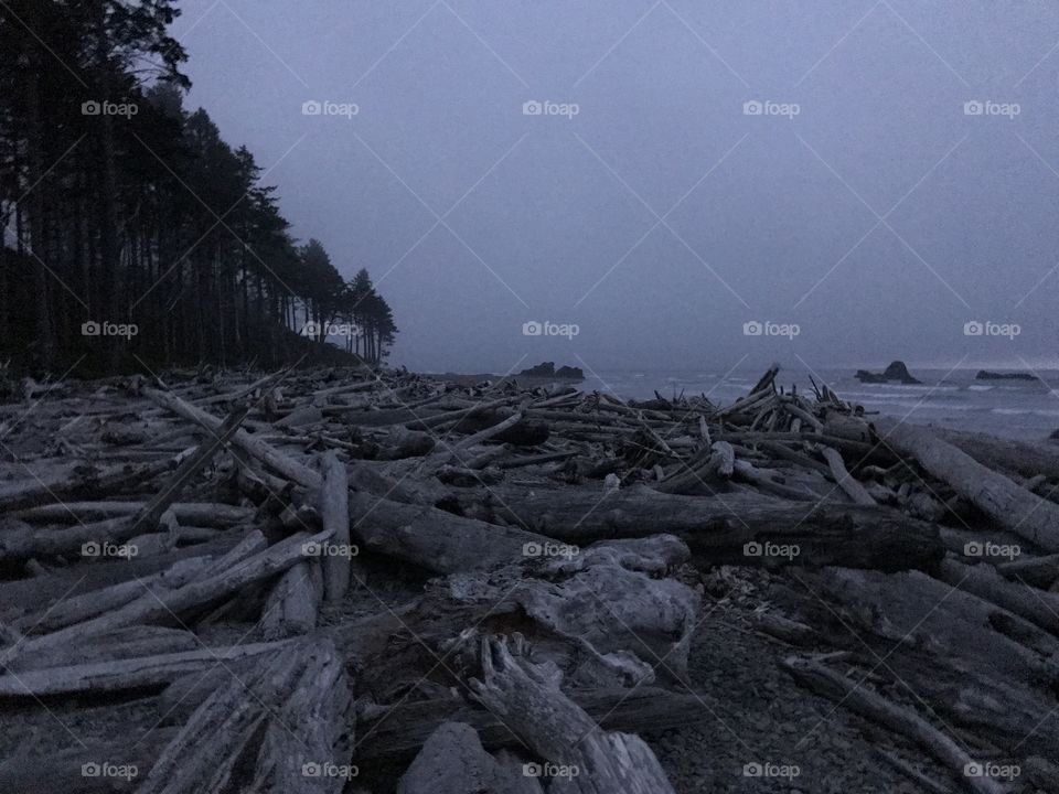 Ruby Beach, WA