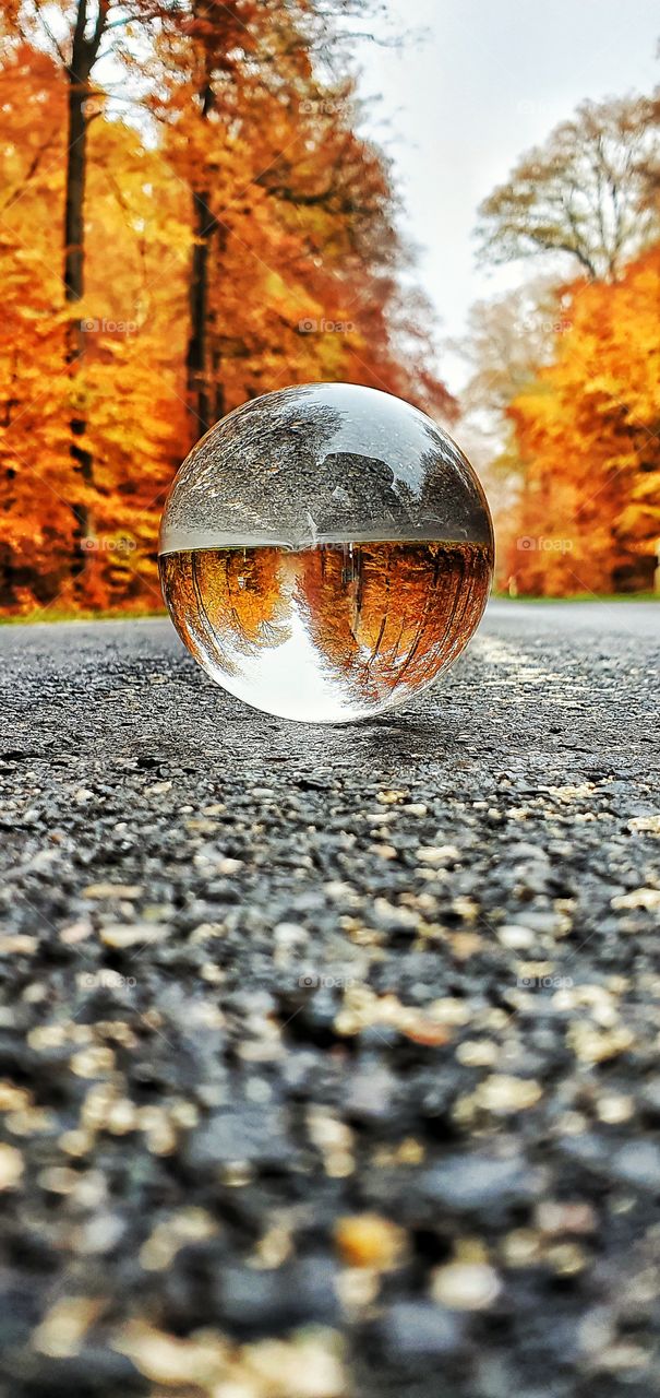Herbstkugel