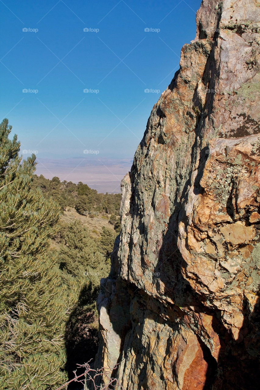 tree rock america california. by samueldibb