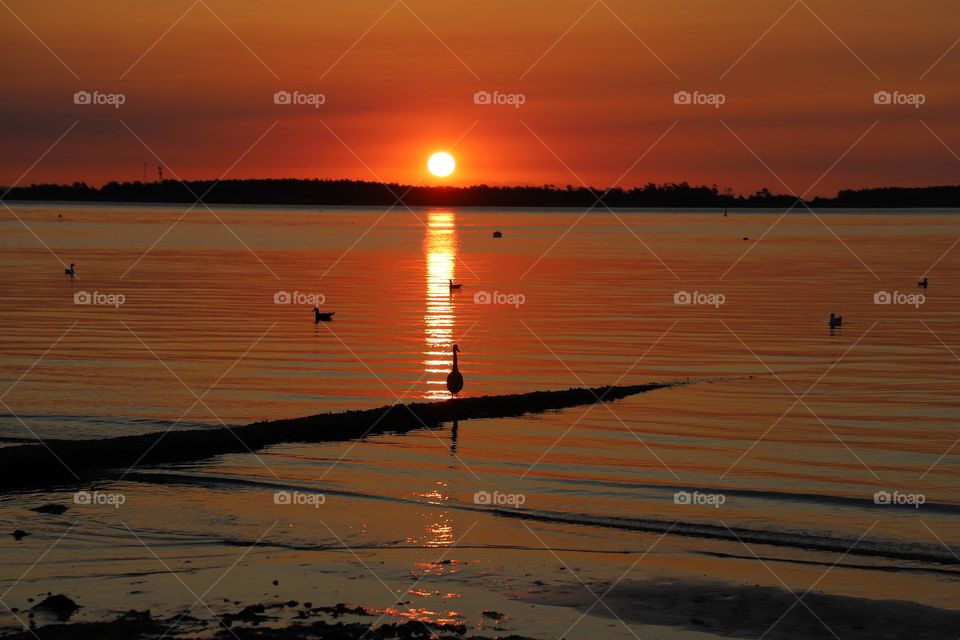 Sunrise on the beach