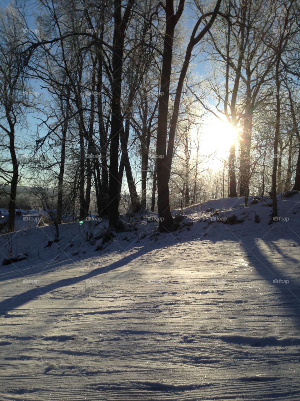 Nordic winter's day