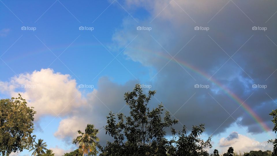 rainbow after the Rain