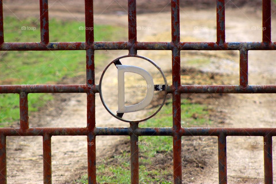 Brought to you by the letter D